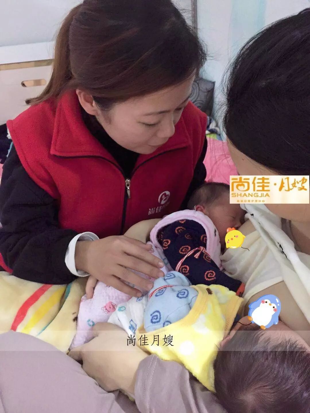 尚佳專業(yè)月嫂丨初生嬰兒需要吃多少？